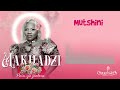 Makhadzi - Mutshini (Audio)