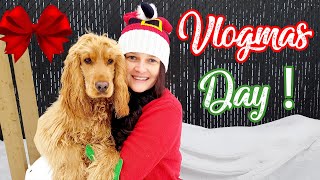 Ugly Christmas Sweater Haul + Puppy Fun 🎅 VLOGMAS by Syndia