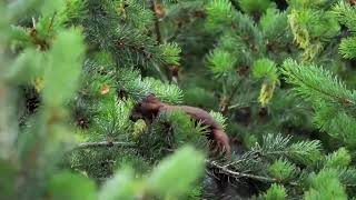 [독서삼도] 산산조각/ 정호승/ 시공사