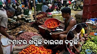 ଛୁଟିରେ କଉ ମାଛ ଧରା l ହାଟ ବାଇଗଣ ରେଟ୍ ବଢିଲା l Fish catching \u0026 vegetable market