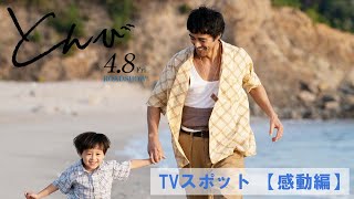 映画『とんび』TVスポット【感動編】4月8日(金)公開！