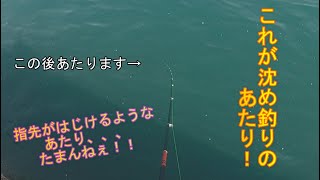 色んな沈め釣りのあたり！！ウキが入る、ラインが走る、竿に乗ってくる色んなあたりを見せます！※スローもあります