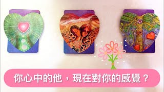 愛情塔羅占卜-「你心中的他，現在對你的感覺?」❤️🌹💕💐🥰 (無時間限制) (三選項) Love Tarot  Reading Pick a Card