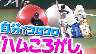 【ハムころがし】DB.スターマン『最後は自らが球となり…“ハムスター優勝”でみんな幸せ』