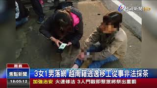 警抓逃逸移工剽悍北越男反抗不敵擒拿術