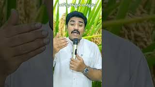 ఆరోగ్యకరమైన ధాన్యము.#viral#shorts#bible#jesus#christianfaith#blessings#motivation#prayer#christian