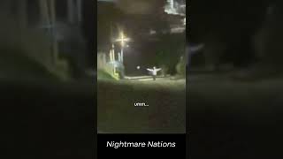 What Did He See