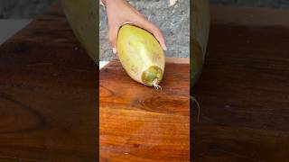 Coconut cutting #coconut #asmr #satisfying #youtubeshorts #shorts