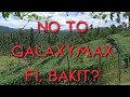 BAKIT AYAW KONG MAGRECOMMEND NA MAGTANIM KAYO NG GALAXY MAX F1?