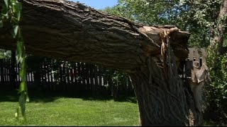 Storm cleanup leads to safety lesson