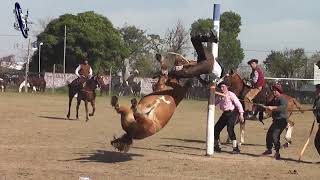 Caidas impresionantes en Clina en Victoria (Entre Rios)