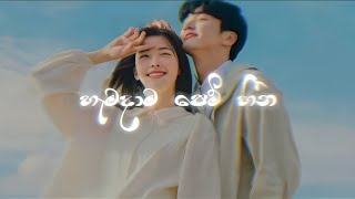 Ahi Pillamak Athara (ඇහි පිල්ලමක් අතර) hamadama pem heena_-_හැමදම පෙම් හීන | slowed and reverb 2024