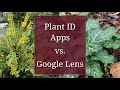 Plant ID Apps vs. Google Lens: Identification Performance Reviewed