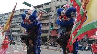 107.10/13艋舺龍津宮恭祝順正府大王公聖誕遶境【臺北萬安舘-醒獅團】