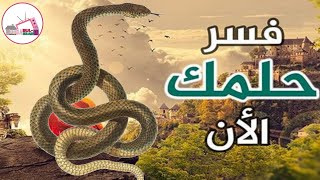 MAFARKIN MACIJI DA KUMA FASSARAR SIGOGINSA, MEYASA NAKE MAFARKIN MACIJI