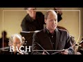 Bach - Cantata Widerstehe doch der Sünde BWV 54 - Mortensen | Netherlands Bach Society