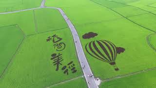 2019 0505 宜蘭伯朗大道冬山三奇村稻間美徑空拍