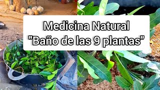 Baño de las 9 plantas medicinales, medicina natural para el dolor de cuerpo y fiebre