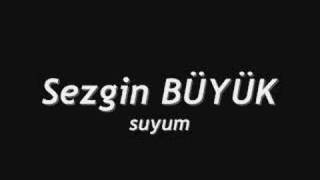 sezgin BÜYÜK