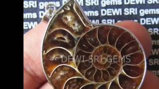 DEWISRIGEMS - BATU AMMONITE