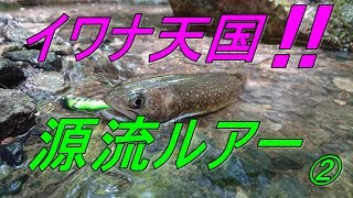 イワナ天国でルアー釣り　②　☆彡　源流ルアー　岩魚