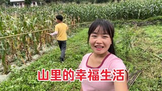 00后小两口的婚后生活，怀孕3个月和老公下地干活，平淡却很幸福