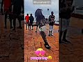 funny dolphin / welcome to zanzibar / #funny #shorts #viral