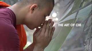 Maha Bodhi Society I Mini Documentary on Buddhism - THE ART OF CHI