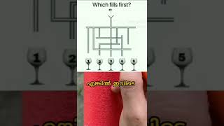 നിങ്ങൾക്ക് ബുദ്ധി ഉണ്ടോ