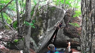 オロチ、穴くまじろう、孫悟空（瑞牆ハットエリア）