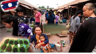 ตลาดเมืองท่าปางทองแขวงสะหวันนะเขตสปปลาว ตลาดเช้าอาหารป่าอาหารพื้นบ้าน