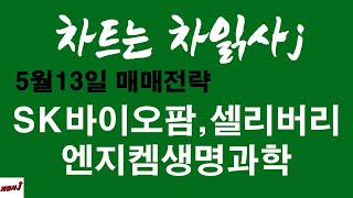 5월13일 차읽사j SK바이오팜,셀리버리,엔지켐생명과학