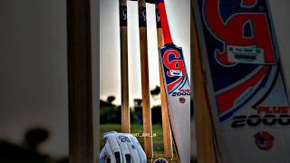 Mera Chain Rain Nain Apne Sath Le Geeya song : Cricket Lover's ❤️|| #cricket #shorts #viral #ytshort