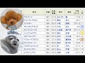 【京都大賞典2018】最終予想！サトノダイヤモンド復活なるか！