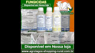 MELHORES FUNGICIDAS PARA SUA LAVOURA PLANTAÇÃO