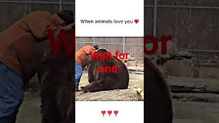 When animals i love you 🤗🥹💕 #short #shorts #trending
