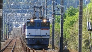 2016/04/30 JR貨物 朝の貨物列車最終 【5087レ】EF65-2075[新]＋コキ20B