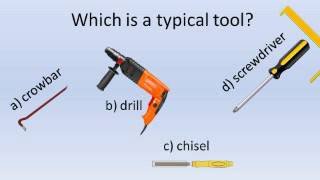 Psychological experiment: Prototypes theory