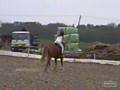 ShowJumping!! Little Maric Pony