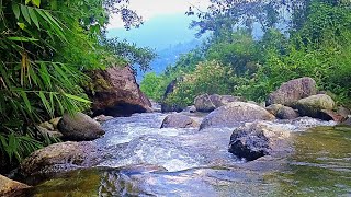 Excursion to Riyang river valley, Sittong.