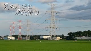 Summer paddy fields and Boso line ① ・ Yachiyo City, Chiba Prefecture, Japan