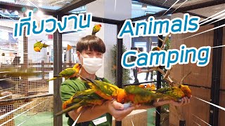 พาเที่ยวงาน Animals Camping งานจัดแสดงโชว์สัตว์กลางห้างเซ็นทรัลพระราม 9 : ออกไปดูสัตว์ EP.3