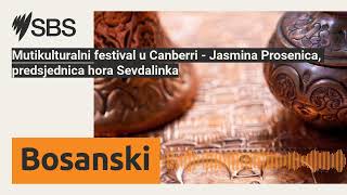 Muticulturalni festival u Canberri - Jasmina Prosenica, predsjednica hora Sevdalinka | এসবিএস...