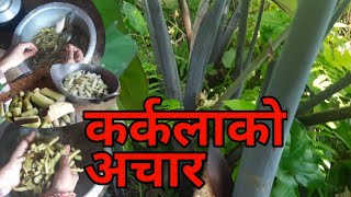 कर्कलाको अचार KARKALAKO ACHAR Taro plant कालो कर्कलाको अचार यसरी बनाइन्छ Colocasia Esculenta pidalu