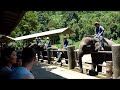 elephant park chiangmai ｴﾚﾌｧﾝﾄｷｬﾝﾌﾟ ﾁｪﾝﾏｲ