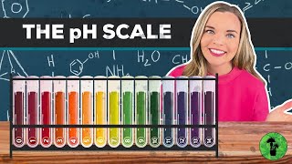 Acids Bases & the pH Scale