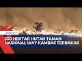 Kebakaran di Taman Nasional Way Kambas, 350 Hektar Lahan Terdampak