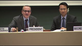 Convention on Conventional Weapons