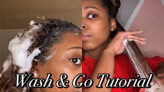 Wash \u0026 Go Tutorial | Natural Hair Styles | Mia Ashanti ♡