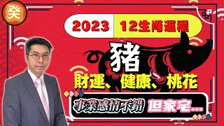 2023癸卯年12生肖運程｜豬年生肖運勢｜感情、桃花、事業、金錢 ｜易經塔罗開運吉卦｜何癸銘｜OSCAR｜CC繁簡字幕｜